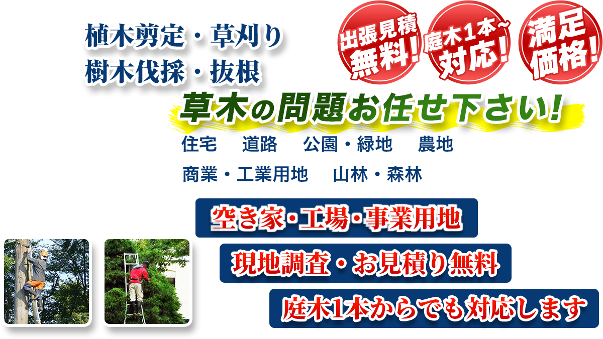 近江八幡市エリア即対応!! 出張無料! 庭木1本~対応! 満足価格! 植木剪定・生垣刈込 樹木伐採・伐根 草木の問題お任せ下さい! 住宅 道路 公園・緑地 農地 商業・工業用他 山林・森林 伐採保全最長5年保証 現地調査・お見積り無料 庭木1本からでも対応します